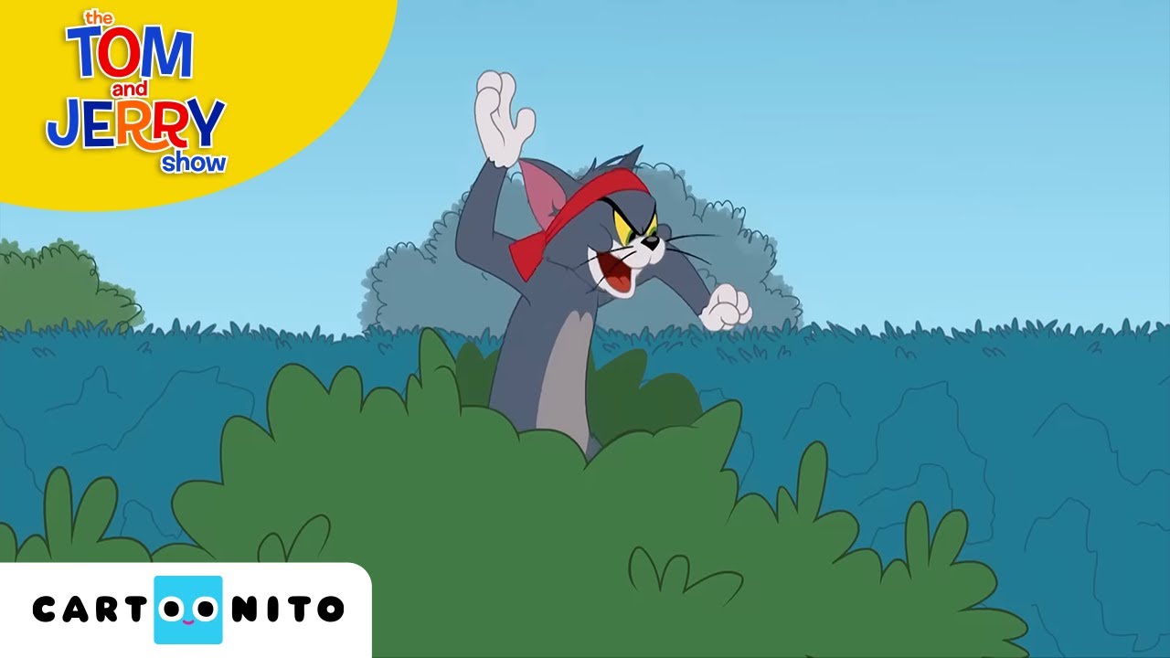 Tom ve Jerry | Kıymık |  JoyDizi