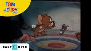 Tom ve Jerry | Bebek Fare Tuffy |  JoyDizi