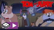 Tom & Jerry Show I Kalabalık Ev |  JoyDizi