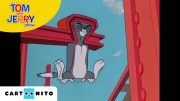 Tom ve Jerry | Barbekü |  JoyDizi