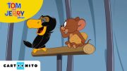 Tom ve Jerry | Jerry ve Papağan |  JoyDizi