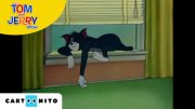 Tom ve Jerry | Şekerleme Zamanı |  JoyDizi