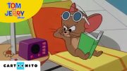 Tom ve Jerry | Köpek Yakalayıcı |  JoyDizi