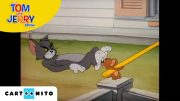 Tom ve Jerry | Ağaçkakan |  JoyDizi