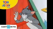 Tom ve Jerry | Bowling Topu |  JoyDizi
