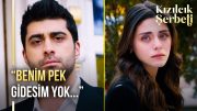 Doğa ve Fatih boşanıyor! | Kızılcık Şerbeti 50. Bölüm