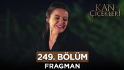 Kan Çiçekleri 249. Bölüm Fragmanı – 9 Şubat Cuma