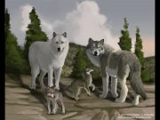 Mutlu Son [WolfQuest 2.5 Son bölüm]