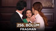 Kan Çiçekleri 256. Bölüm Fragmanı – 20 Şubat Salı