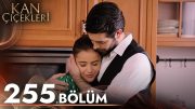 Kan Çiçekleri 255. Bölüm