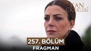 Kan Çiçekleri 257. Bölüm Fragmanı – 21 Şubat Çarşamba