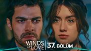 Rüzgarlı Tepe 37. Bölüm | Winds of Love Episode 37