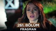 Kan Çiçekleri 261. Bölüm Fragmanı – 27 Şubat Salı