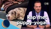 Puppy-yoga is helemaal niet zo schattig | De Avondshow met Arjen Lubach (S5)