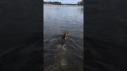 Dog Wants to Go Fishing with Parents