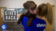 Chewy Gives Back