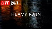 🔴 Heavy Rain on Road to Sleep Faster, Beat Insomnia, Block Noises, Study, Relax | Heavy Rain Sounds