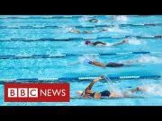 Transgender swimmers banned from elite women’s races – BBC News