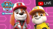 🔴 PAW Patrol BIG Truck Pups, Cat Pack, and more rescue episodes! | Cartoons for Kids Live Stream!