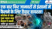 एक बार फिर जानवरों से इंसानों में फैलने के लिए तैयार वायरस! जानिए पूरा मामला? by Ankit Avasthi Sir