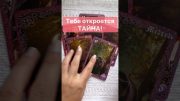 Срочно❗️Перемены которых не ждешь… 🌓✨ Расклад таро #shorts  #онлайнгадание