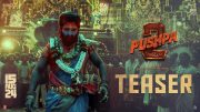 PUSHPA 2: THE RULE (TEASER) | ALLU ARJUN | SUKUMAR | RASHMIKA MANDANNA | FAHADH FAASIL | DSP