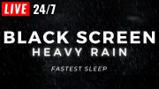 🔴 Heavy Rain to Sleep FAST with Black Screen – Powerful Rain LIVE 24/7