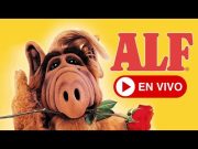 🌹 ALF Latino Español 🌹 Transmisión ahora❗️ALF in Spanish – Latin America 🌹