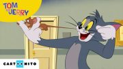 TOM VE JERRY ŞOV | Tom ve Jerry Soyuldu | @CartoonitoTurkiye