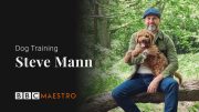 Introducing: Dog Training with Steve Mann – BBC Maestro